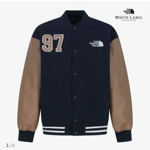 日本未発売 ノースフェイスVARSITY HEAT JACKET スタジャン