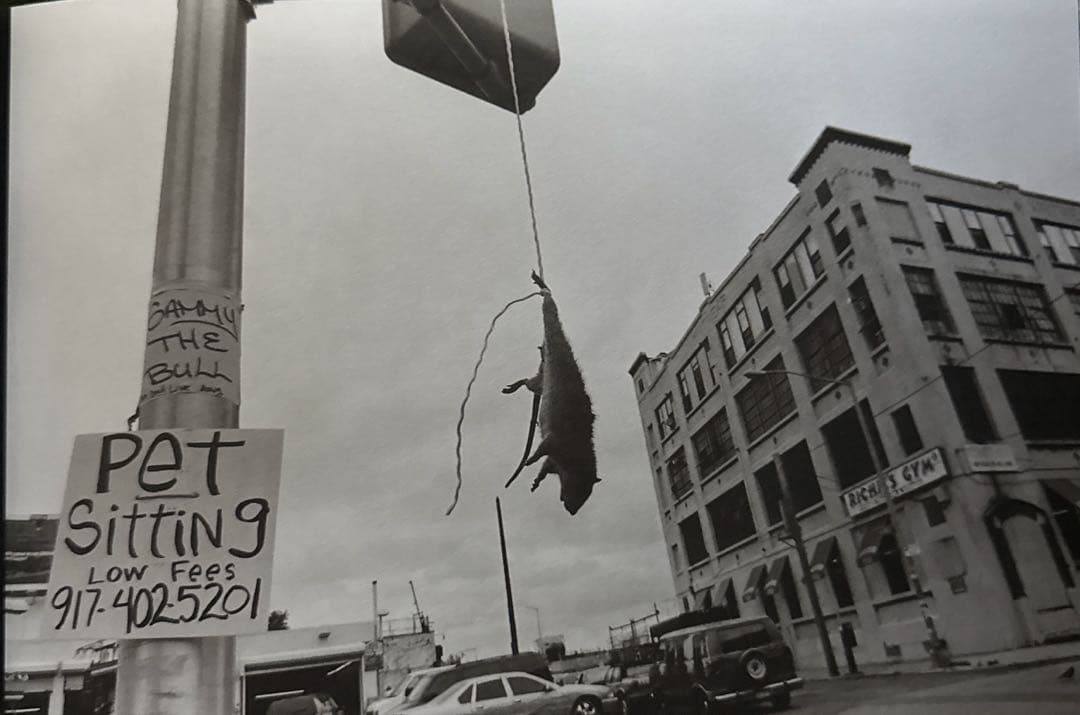 アート・デザイン・音楽 It's All Good Hardcover (2006) First