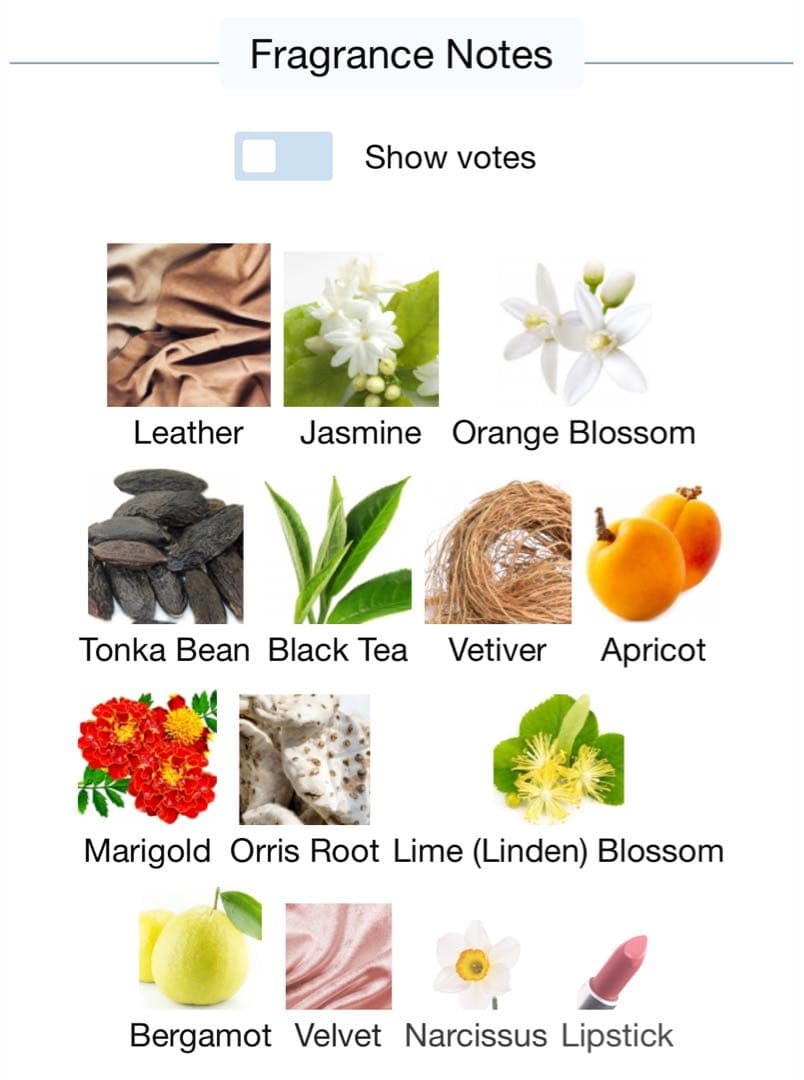 Musc et Madame JONQUILLE THÉ 50ml