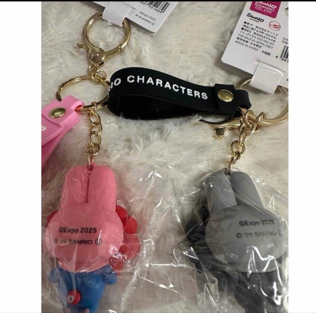 T*M様 マイメロディ　2点　会場限定　黒ミャクミャクモノクロ、カラーキーホルダ