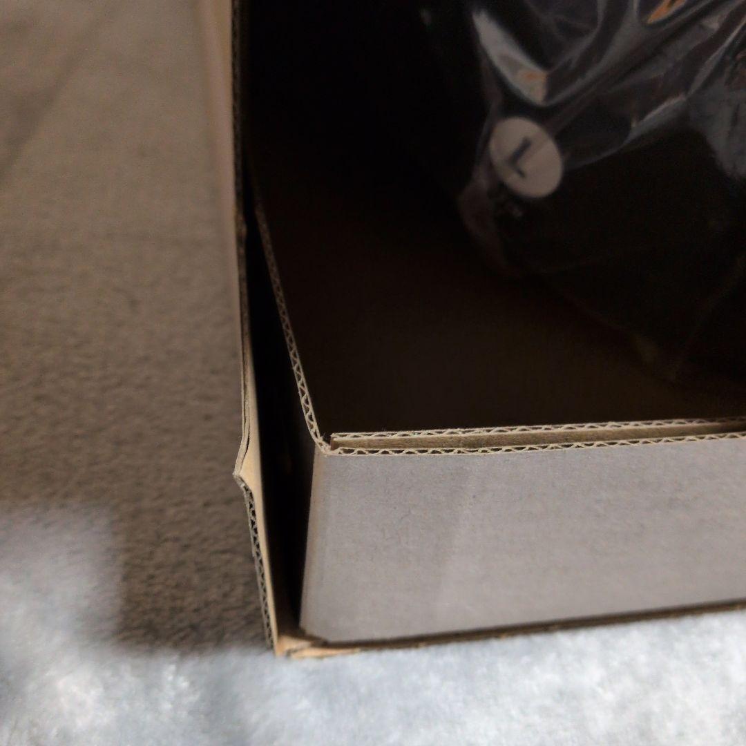 GIRO LEDGE FS Lサイズ