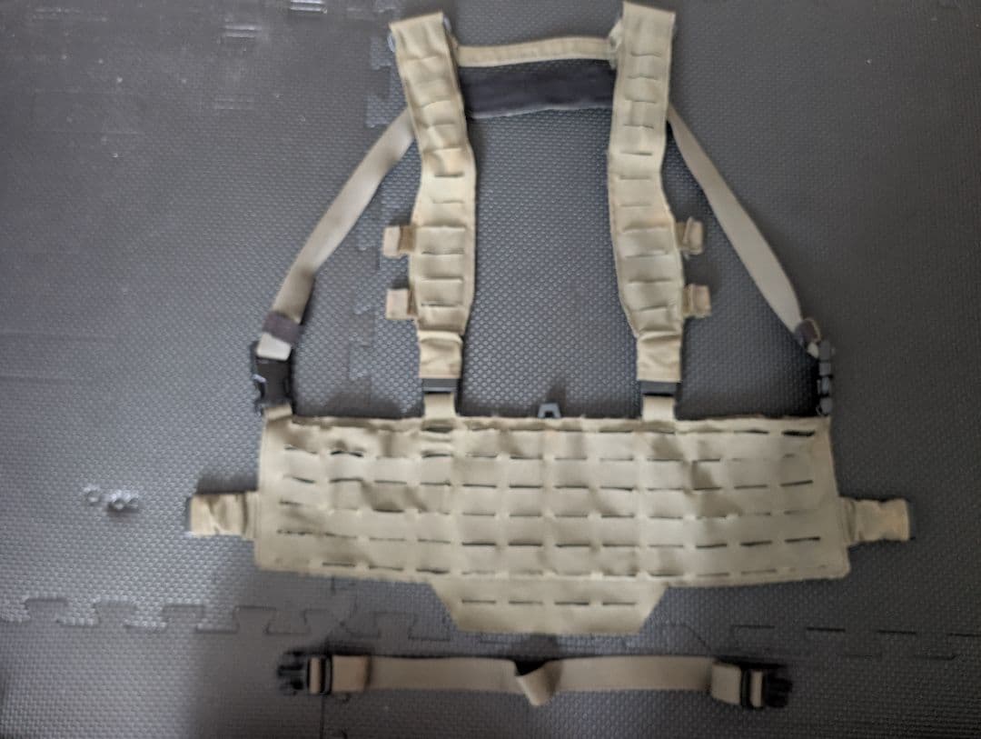 DirectAction　チェストリグ