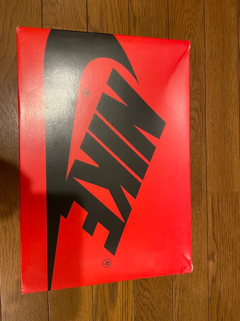 靴 NIKE AIR JORDAN 1RETRO HI OG DM9036 104