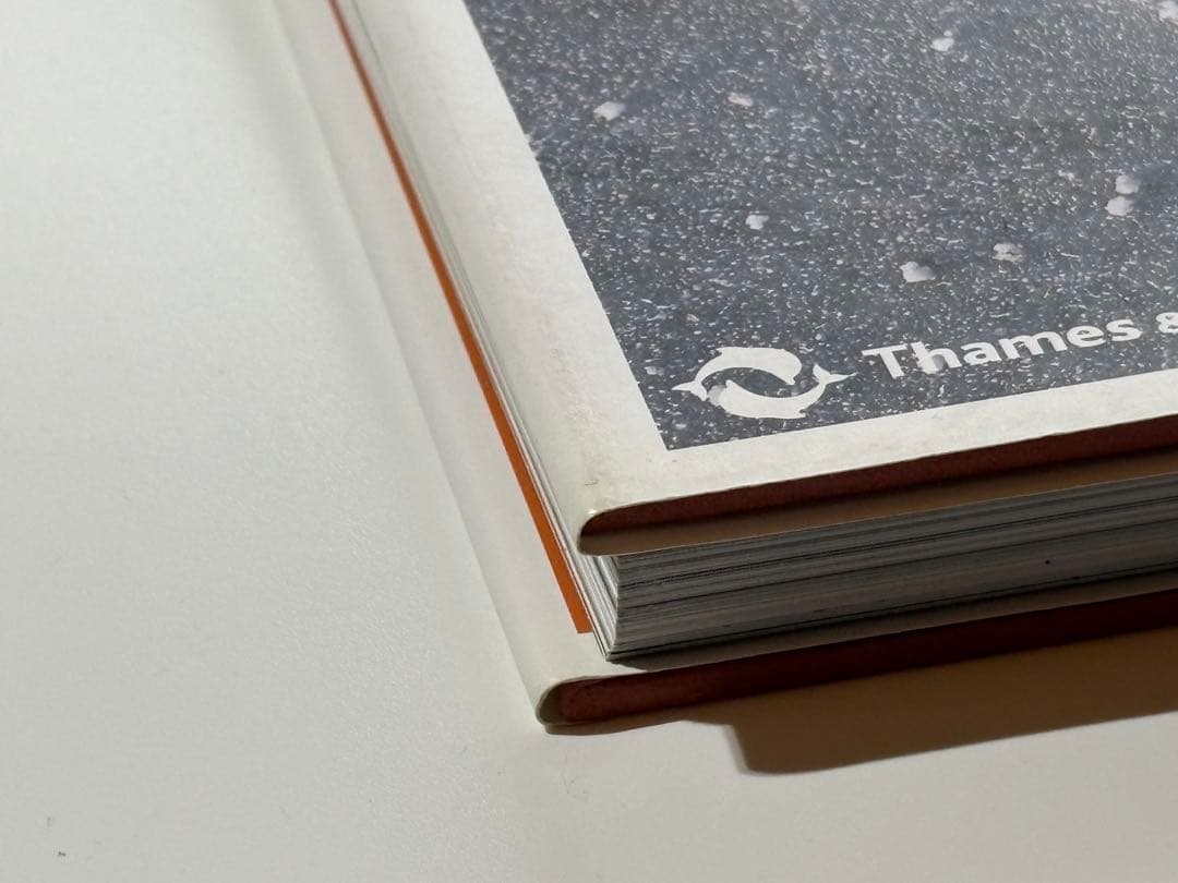 AntonyGormleyInsideAustralia アントニー・ゴームリー