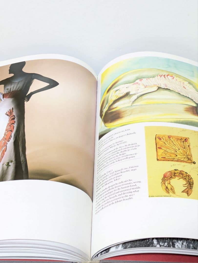 【英語版】「ファッションとシュルレアリスム」リチャード・マーティン 著　洋書