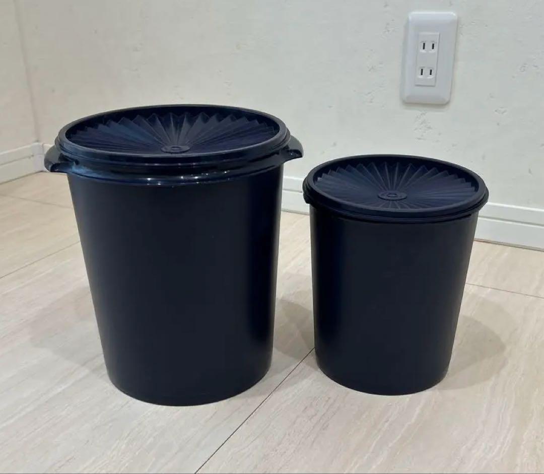 専用！最新タッパーウェア　マキシデコレーター 大と小二点セット　ブルー