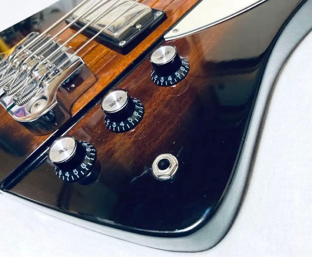 【値引き専用】Epiphone Thunderbird カスタムショップ