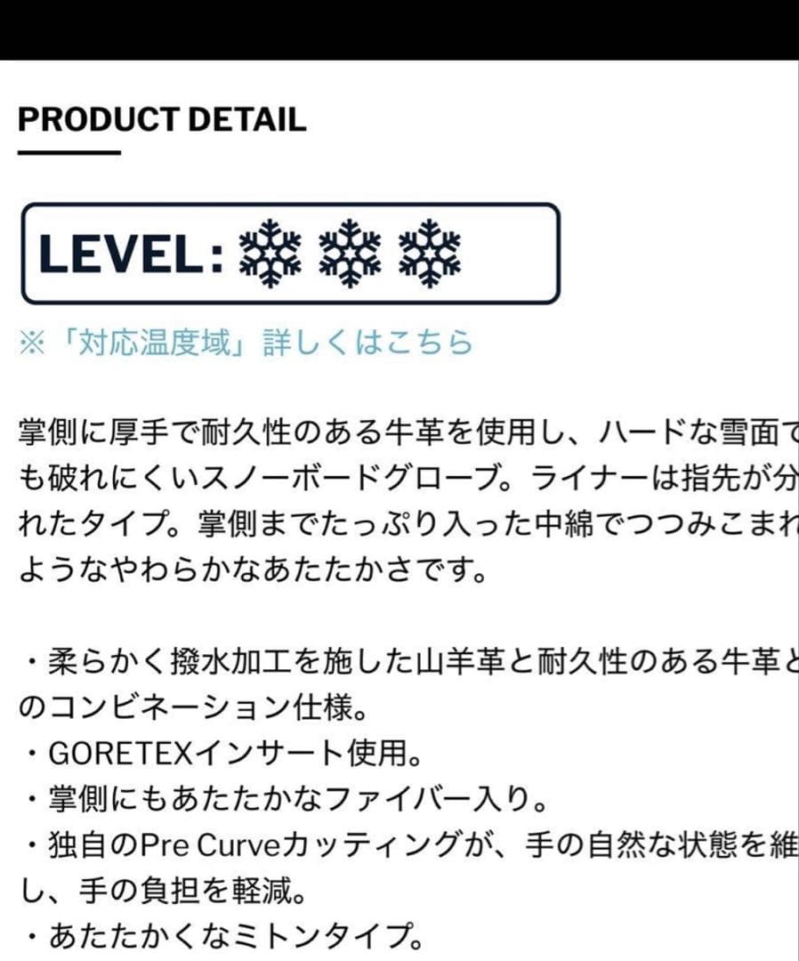 SWANYスワニー グローブ ミトン スノーボード　スキー ゴアテックス