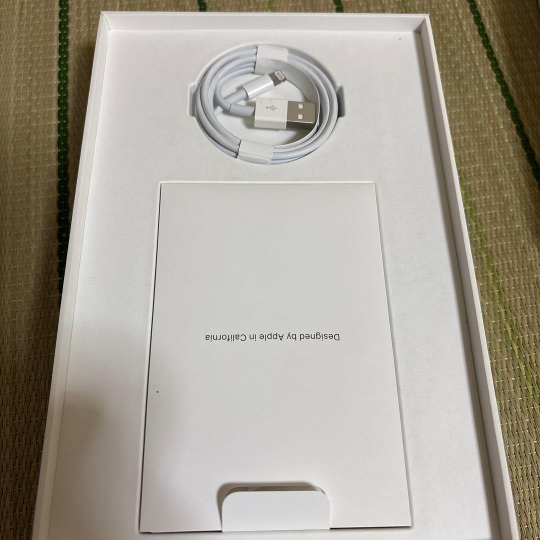 iPad mini 第5世代 スペースグレー 本体