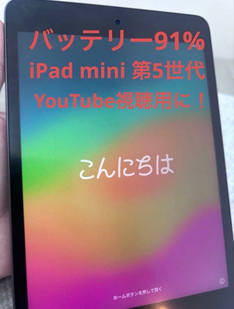 iPad mini 第5世代 スペースグレー 本体