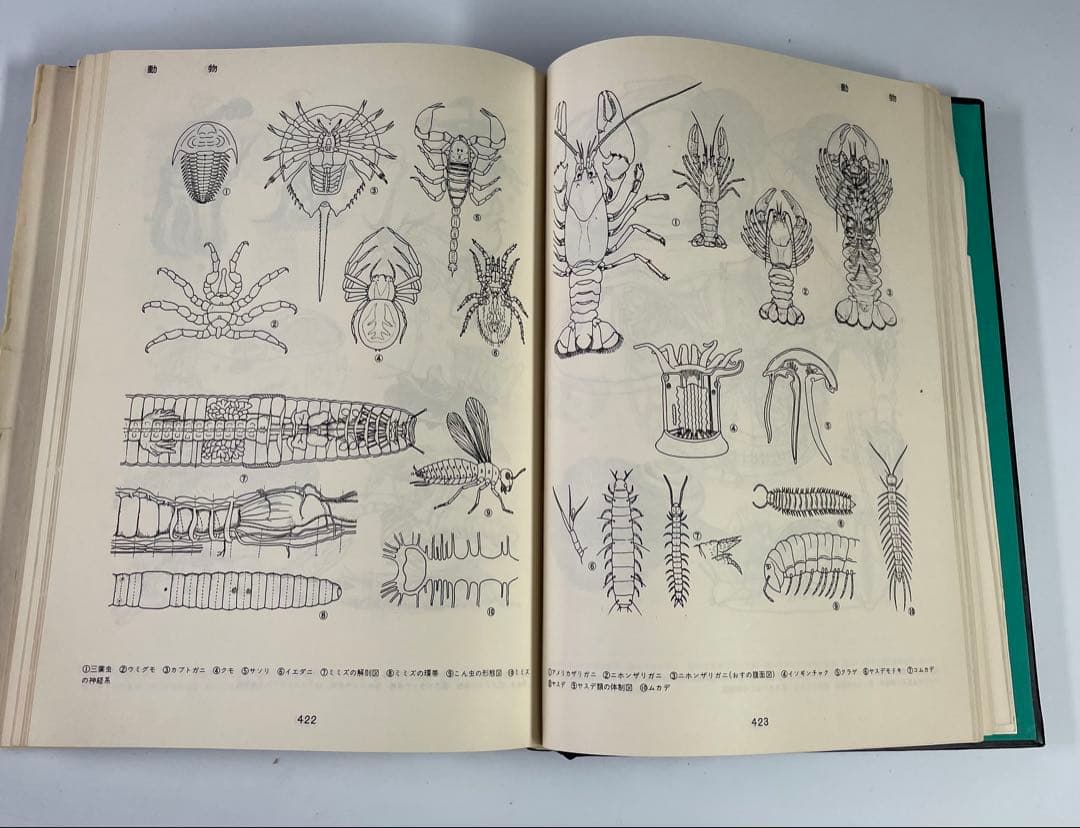 1969年　グラフィック社　イラスト集ILLUSTRATIONS 2000