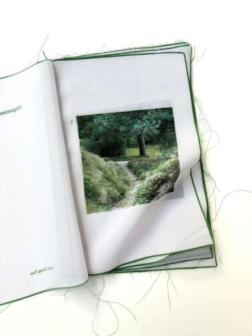 ZINE　Loh Xiang Yun　Organised scenery布写真集