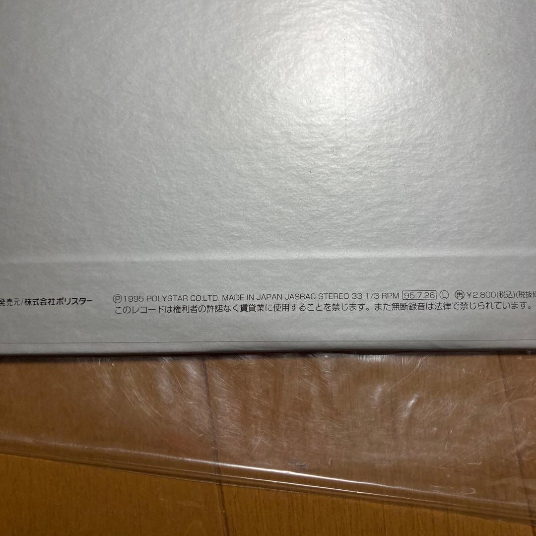 Spiral Life Flourish LP 未使用品