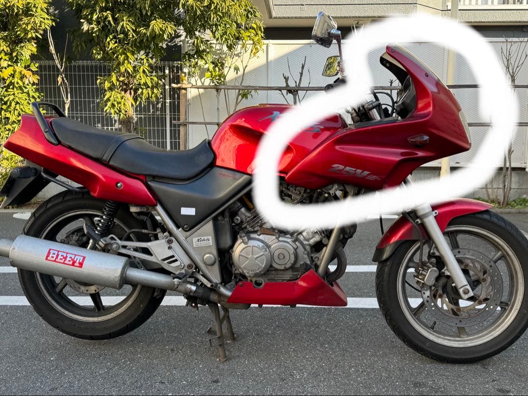 ゼルビス　MC25　スクリーン　フロントアッパーカウル　XELVIS 250