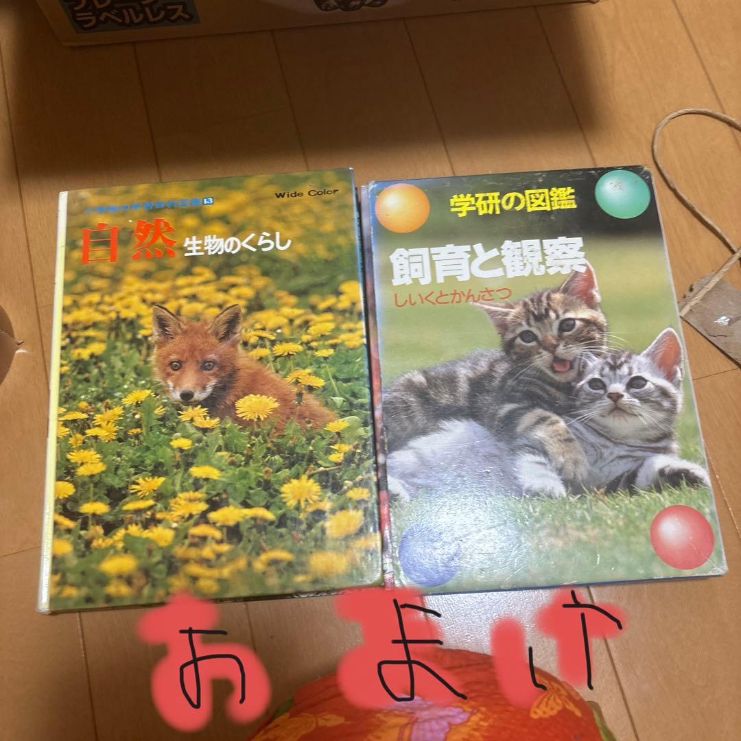 なぜなぜチュータ 全15巻