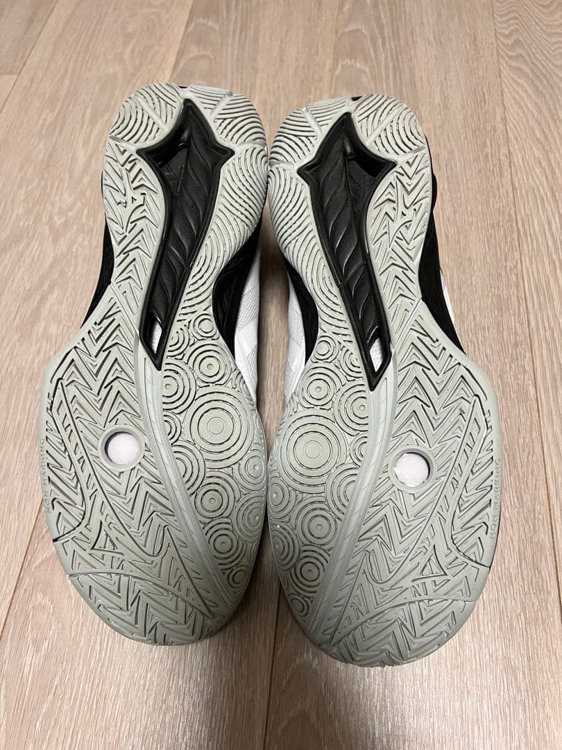 Mizuno ウエーブファングEL2