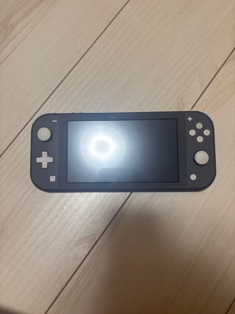 Nintendo Switch Lite グレー 本体 箱・充電器付き