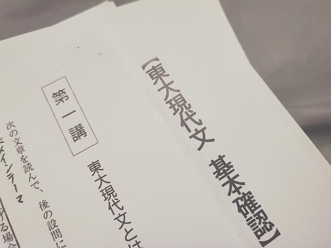 東進　東大特進　東大特進現代文　林修先生　23年　プリントフルセット　駿台河合塾