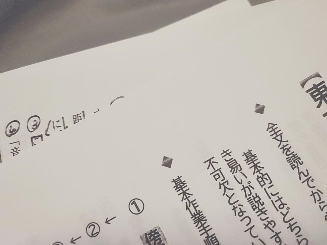 東進　東大特進　東大特進現代文　林修先生　23年　プリントフルセット　駿台河合塾