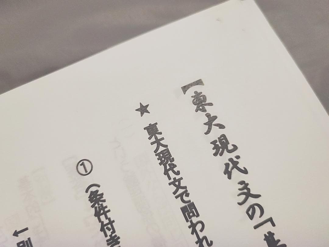 東進　東大特進　東大特進現代文　林修先生　23年　プリントフルセット　駿台河合塾