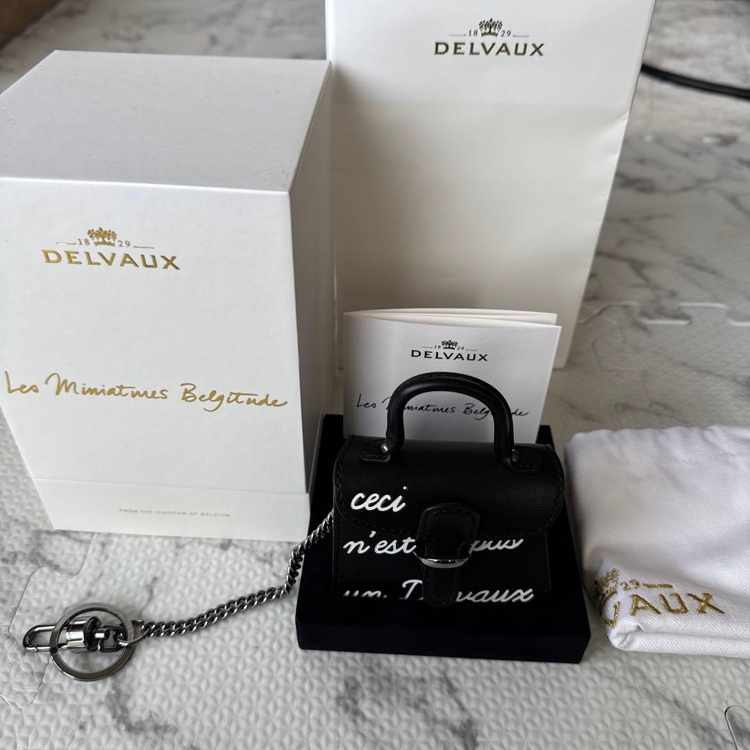 DELVAUX デルボー　　チャーム　ブリヨン　ボックスカーフ　新品未使用