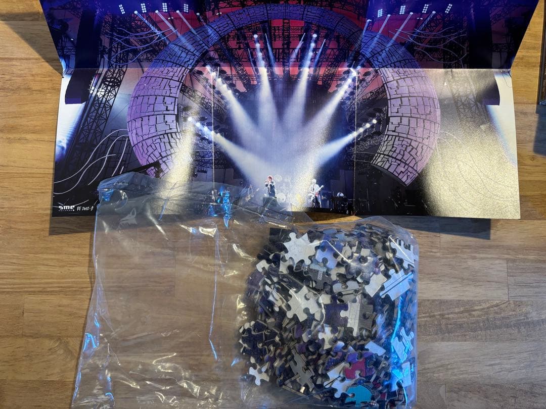 ポルノグラフィティ20th Anniversary Special Live …