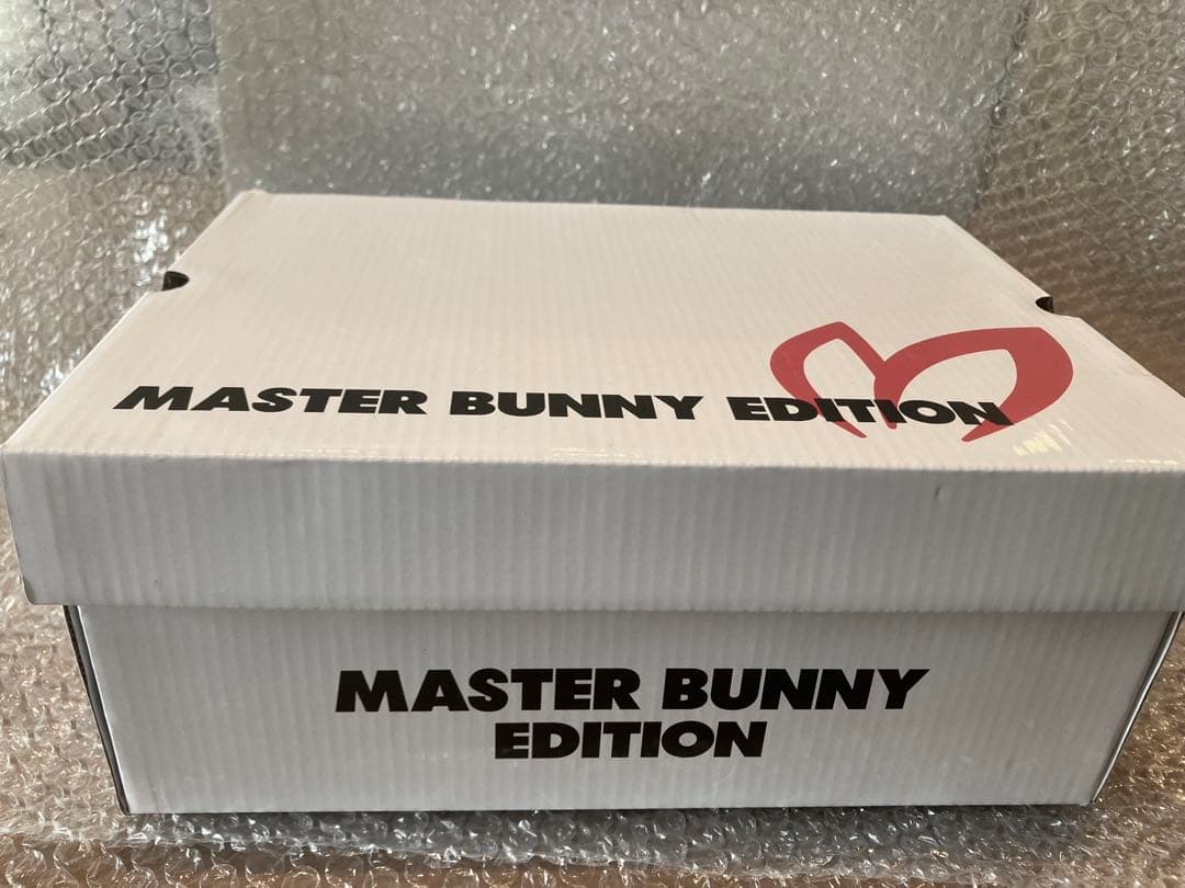 【通販完売品】マスターバニーエディション　メッシュライクシューズ　女性24.0