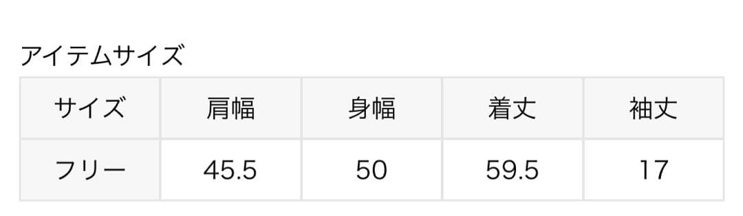 HARDY NOIR Hロゴ　Tシャツ