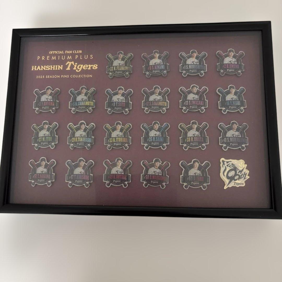 阪神タイガース 2025 ピンズコレクション