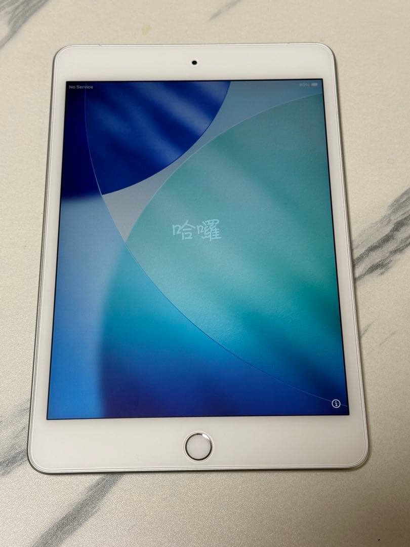 ジャンク品iPad mini 5 Wi-Fi＋Cellular スピーカー不良