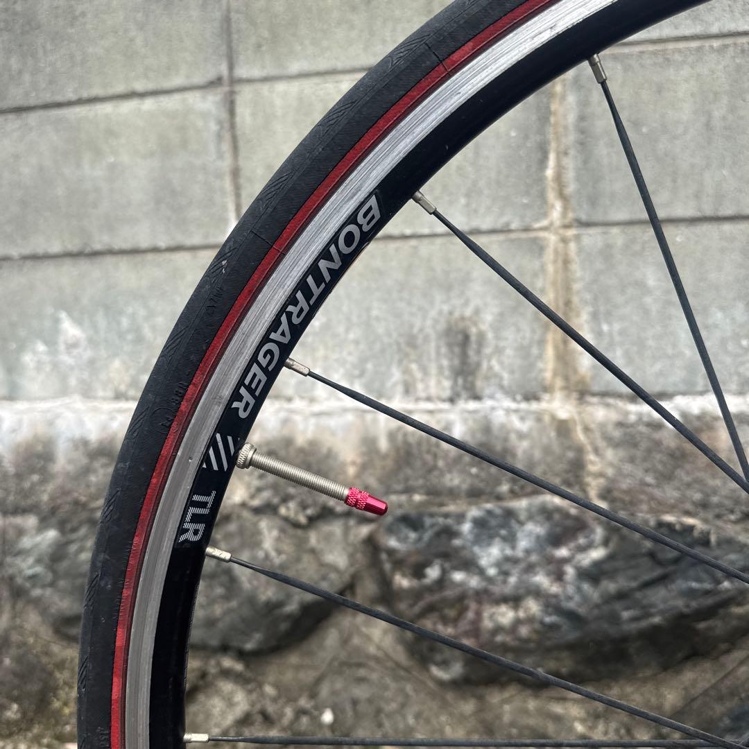 エビフライ台風様