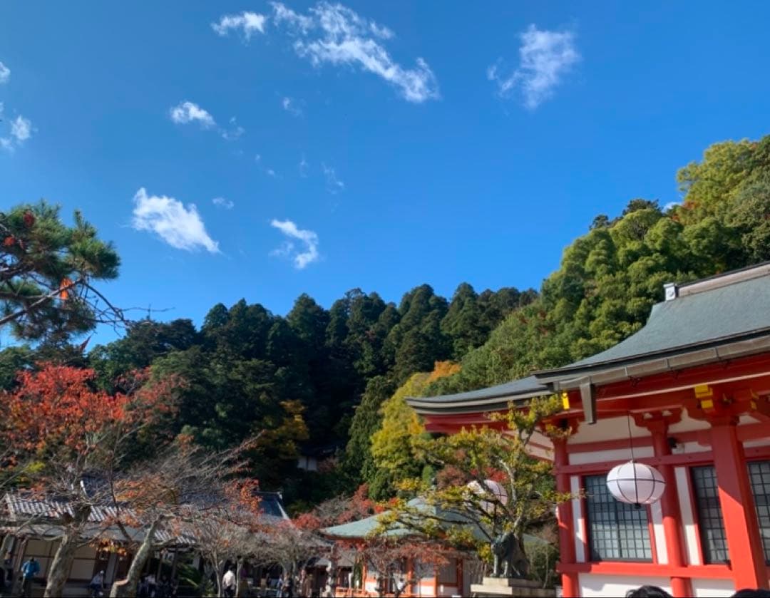 本鞍馬石　ルドラクシャ　鞍馬寺数珠　水晶　ブレスレット　ゼロ磁場エネルギー❣️