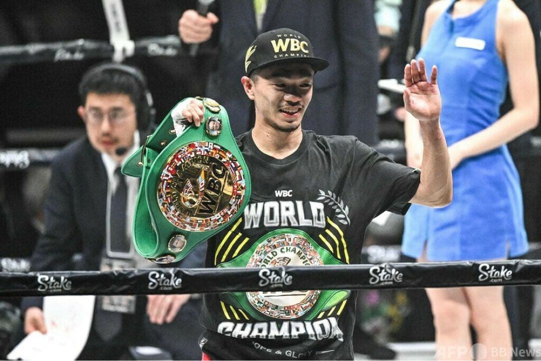 WBC ボクシング Tシャツ 井上尚弥 中谷潤人 選手チャンピオン Mサイズ