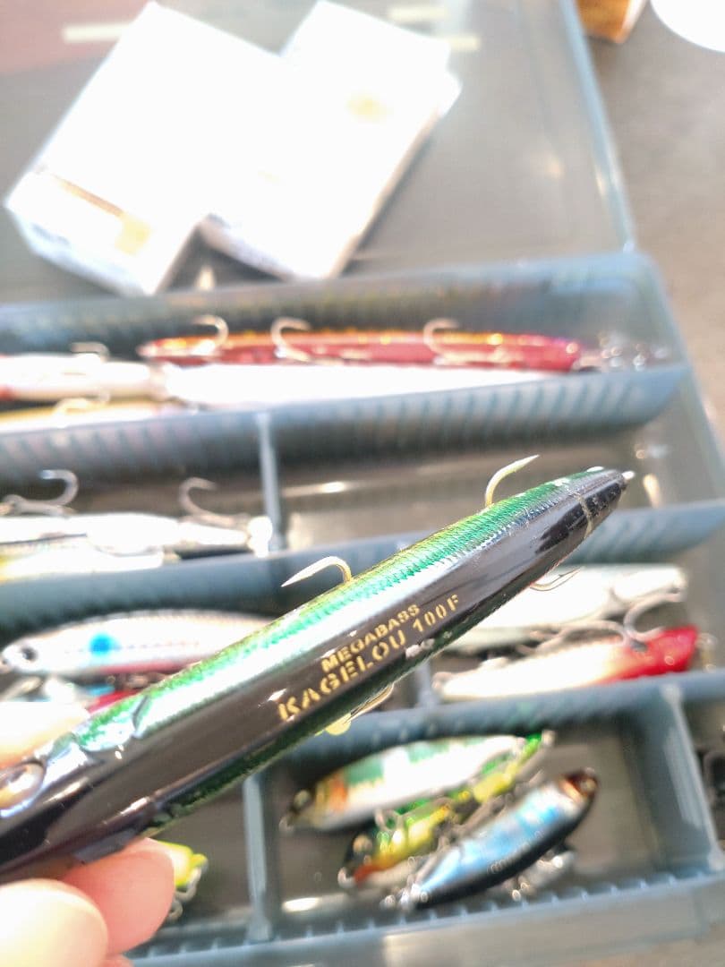 最終値下　シーバス　ルアー　セット　メガバス　バレーヒル　ダイワ　アイマ風
