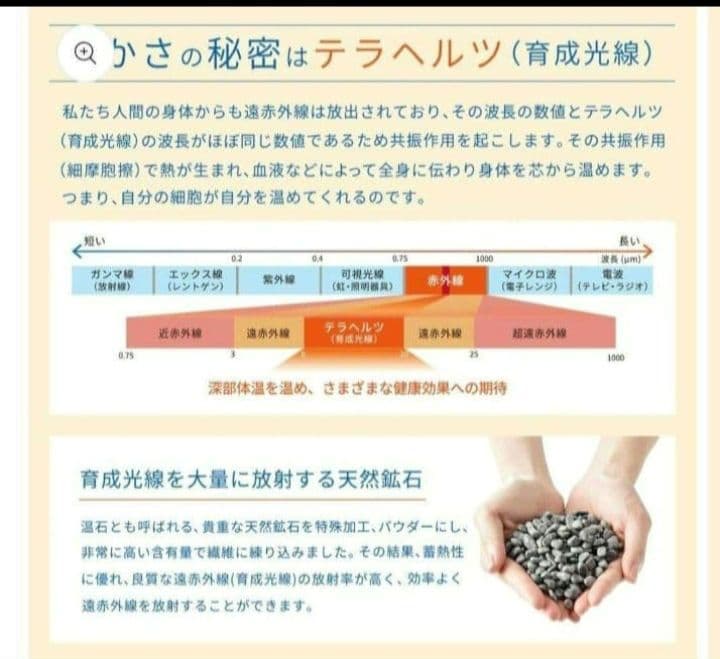 ルーヴルドー復元かぼちゃパンツ★