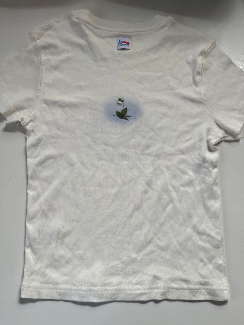 attends tシャツ　アテンズ