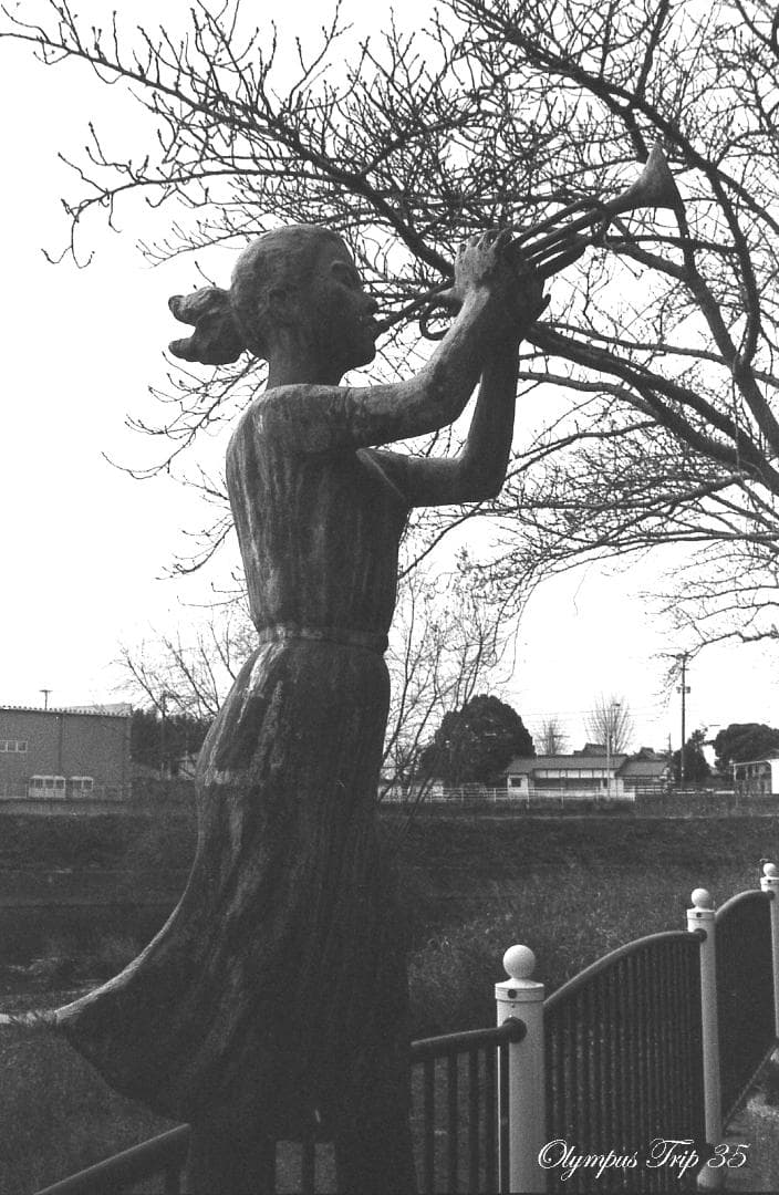 【整備済完動・美品・赤ベロOK！・フィルム試写済】Olympus Trip 35