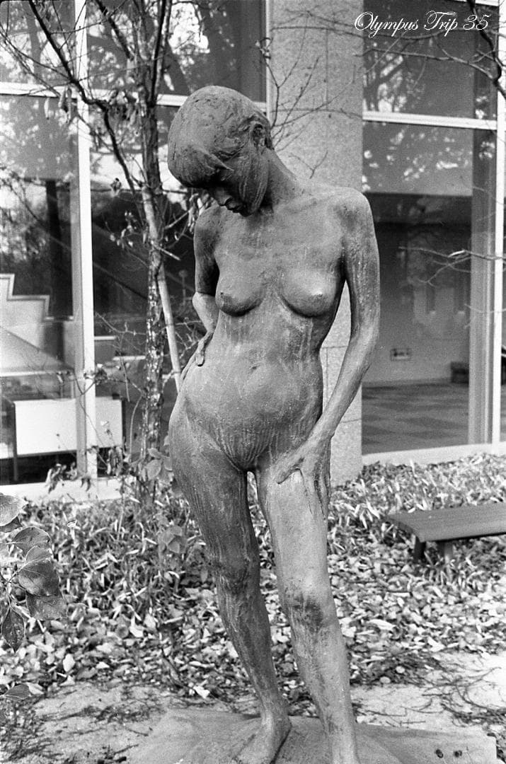 【整備済完動・美品・赤ベロOK！・フィルム試写済】Olympus Trip 35