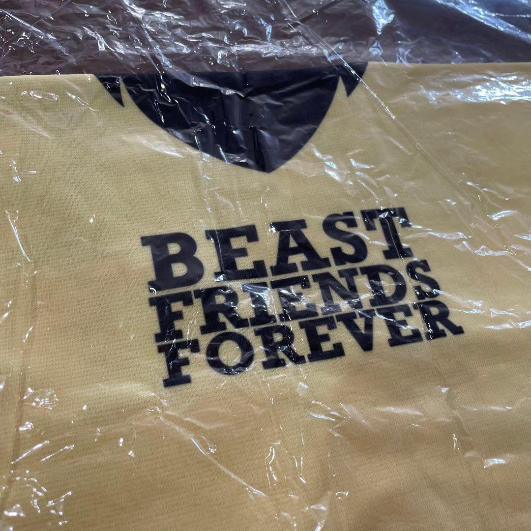 【タグ付き★新品未使用、未開封】シュガーラッシュ　美女と野獣　ベル