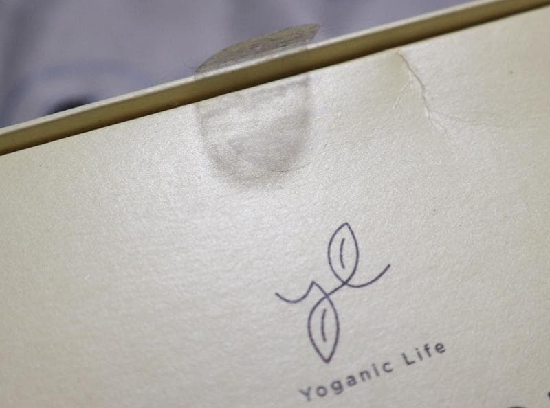 LAVA　新品・未開封 ♡ヨギーニフード100♡フルーツミックス 1箱21袋入