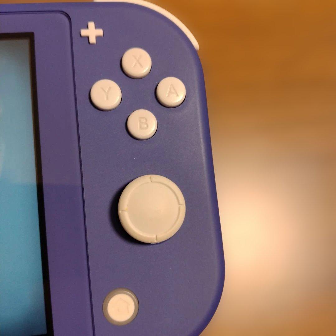 や*ん様 ニンテンドーSwitchライト（本体のみ）ハードケースと保護フィルム付