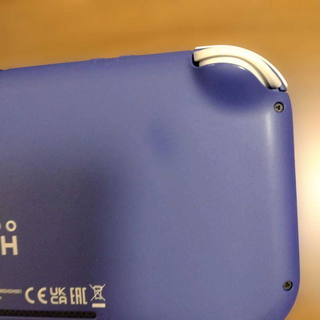 や*ん様 ニンテンドーSwitchライト（本体のみ）ハードケースと保護フィルム付