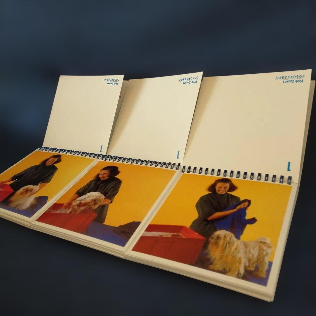 Colorcards Verb Tenses 教材