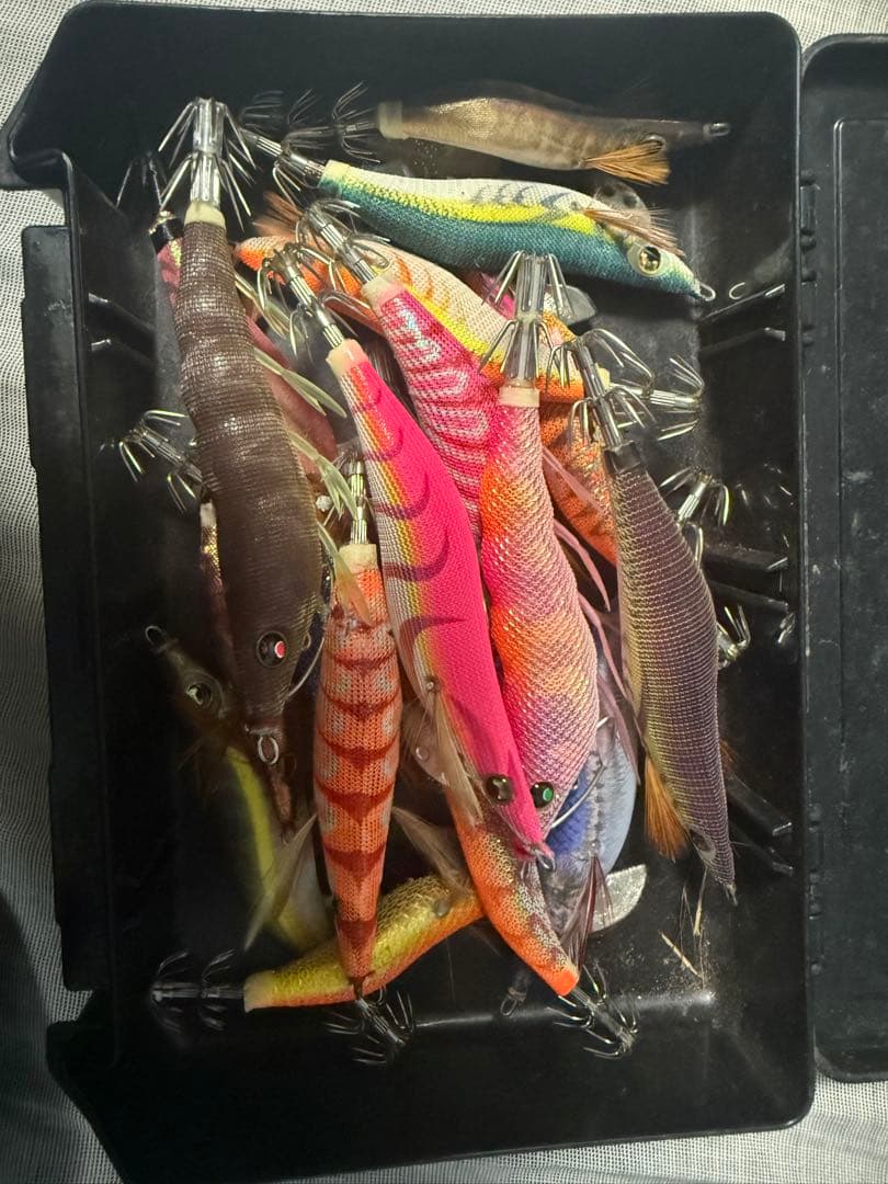 エギセット プラスチックケース付き