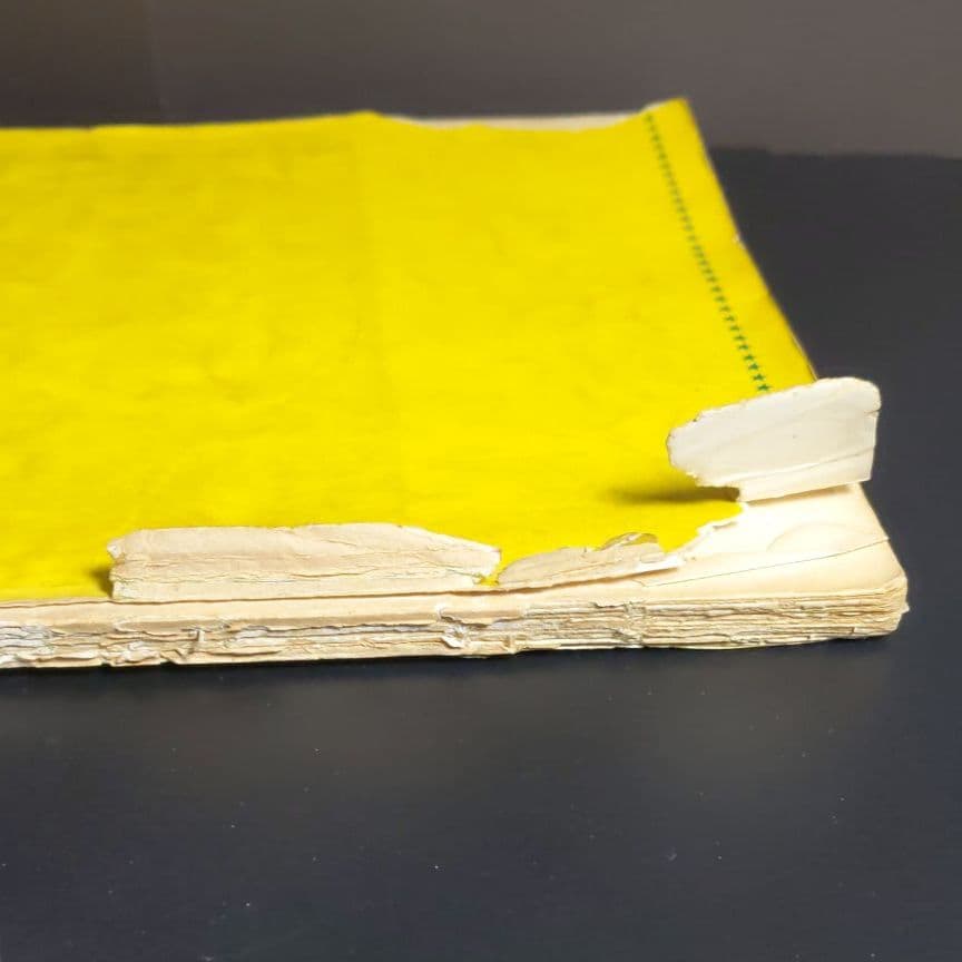 ちびっこのどじまん愛唱歌集