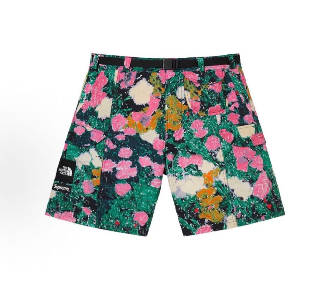 j*0様 Supreme The north face Trekking Sho