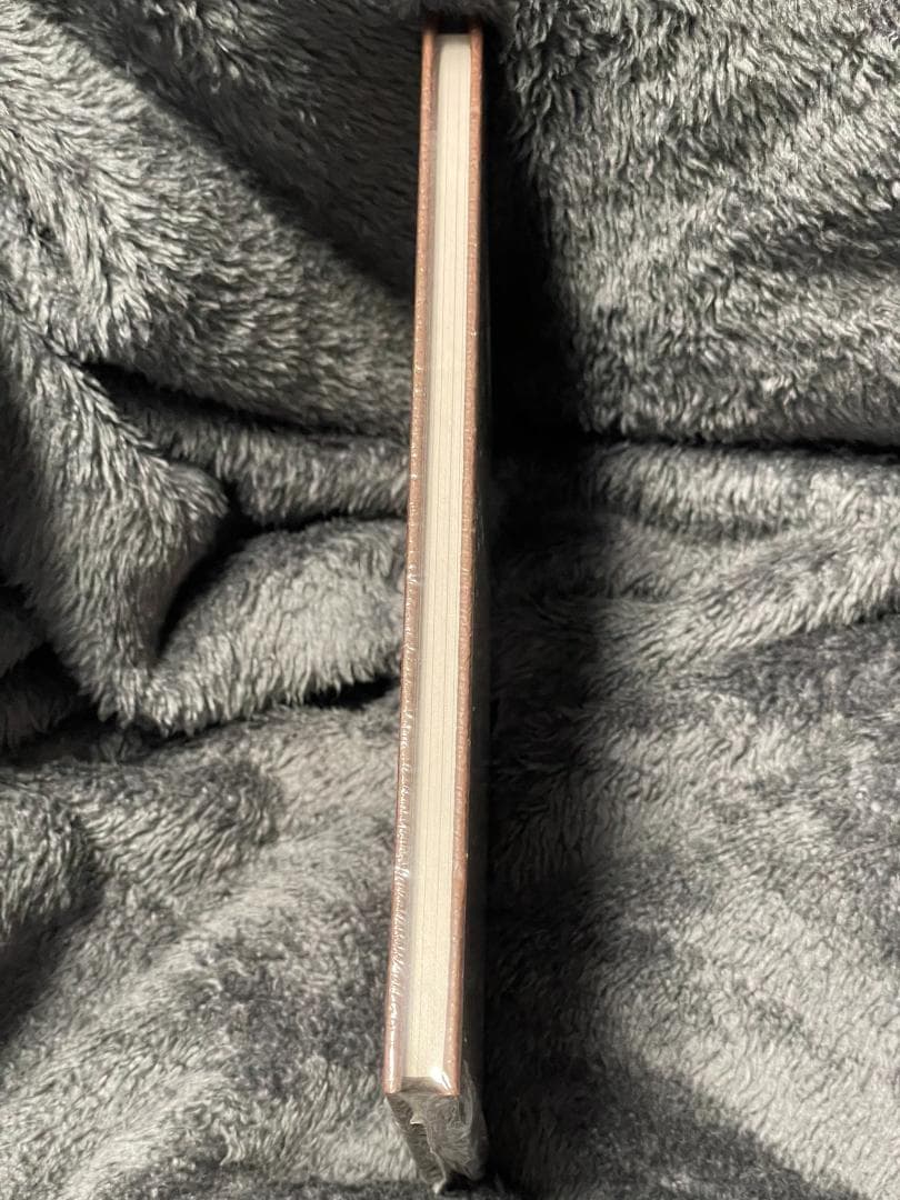 アート・デザイン・音楽 Art of Bloodstained Ritual of the Night