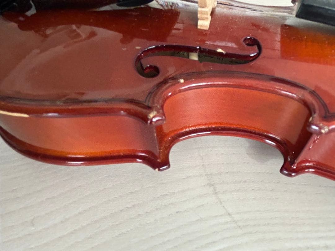 バイオリン・Carlo giordano・ケース付・1/16