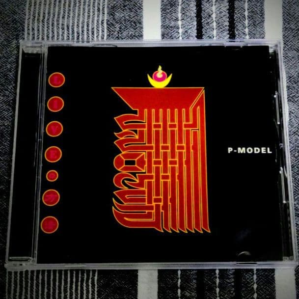P-MODEL LIVEの方法 帯なし【期間限定値下げ】