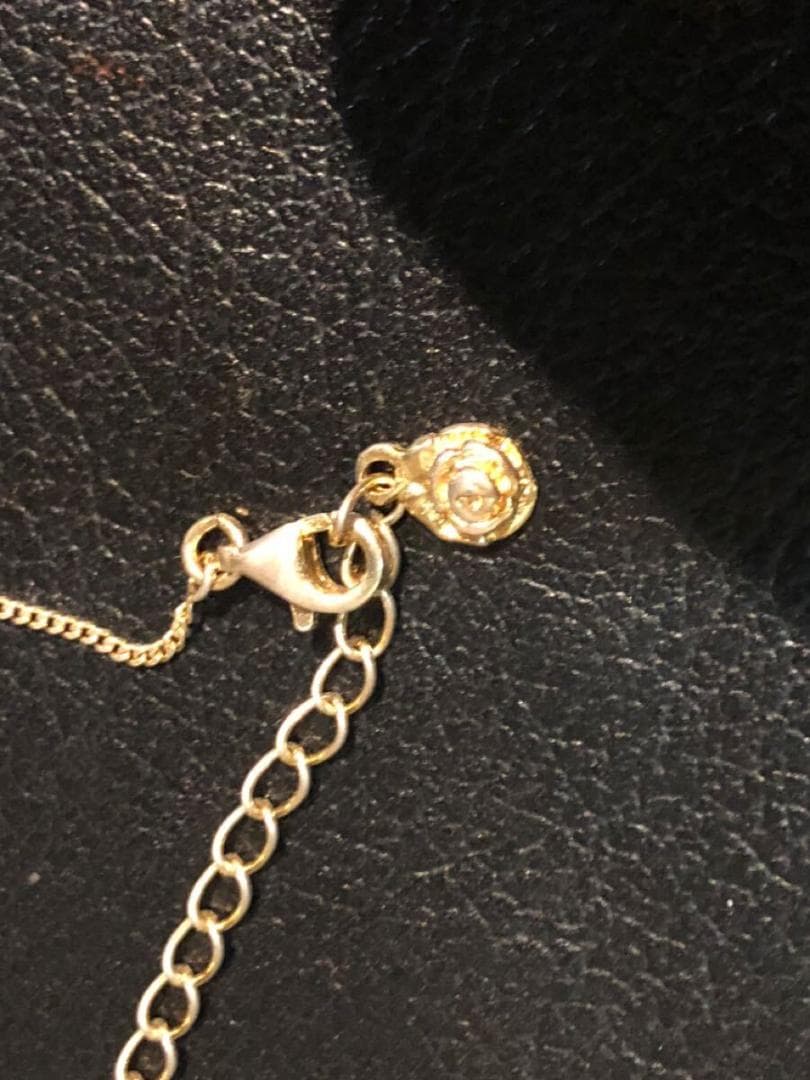 ROTTWEILER ロットワイラー dog chain rosario